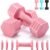 EQUIPRO Adjustable Dumbbell Set, 4 in 1 Free Weights Dumbbells Set for Women, Weights for Women at Home, 2lb 3lb 4lb 5lb with TPU Soft Rubber Handle for Home Gym Exercise Training