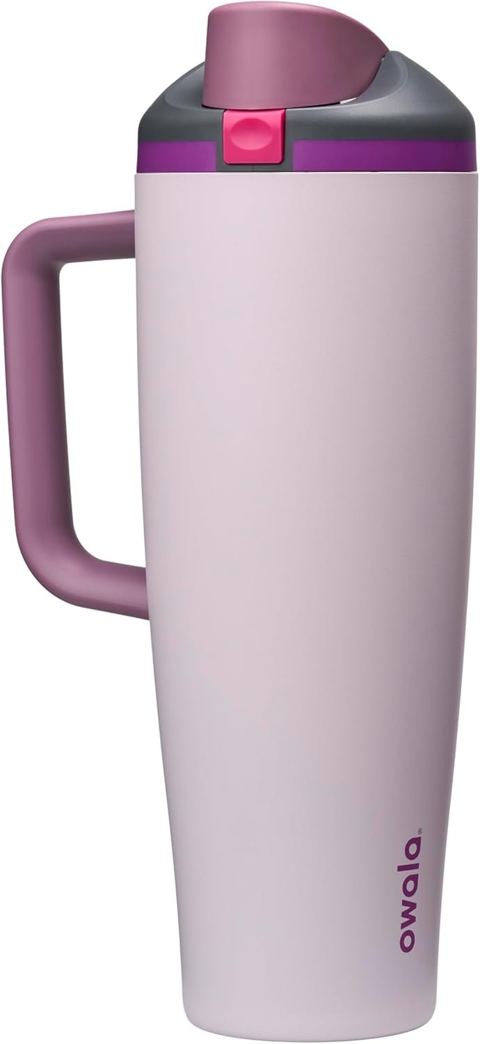 Owala FreeSip Tumbler Insulated Stainless Steel Water Bottle with Built-in Straw and Side Handle, For Travel, Work, School, and Sports, 40oz, BPA Free, Leak Proof, Dreamy Field
