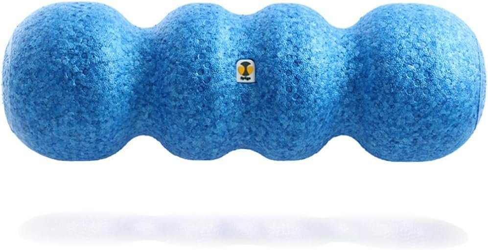 Rollga Foam Roller – High Density Foam Roller for Back Pain Relief, Deep Tissue Massage & Muscle Recovery. Physical Therapy Exercise Tool for Neck, Back, Legs, & Feet. Yoga & Pilates Roller